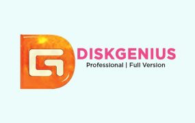 DiskGenius Professional 6.0.1.1645 for Windows英文專業(yè)版